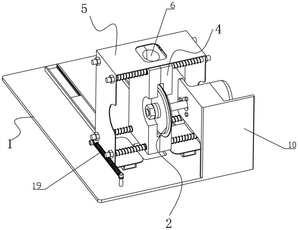 Loach and eel sectioning device