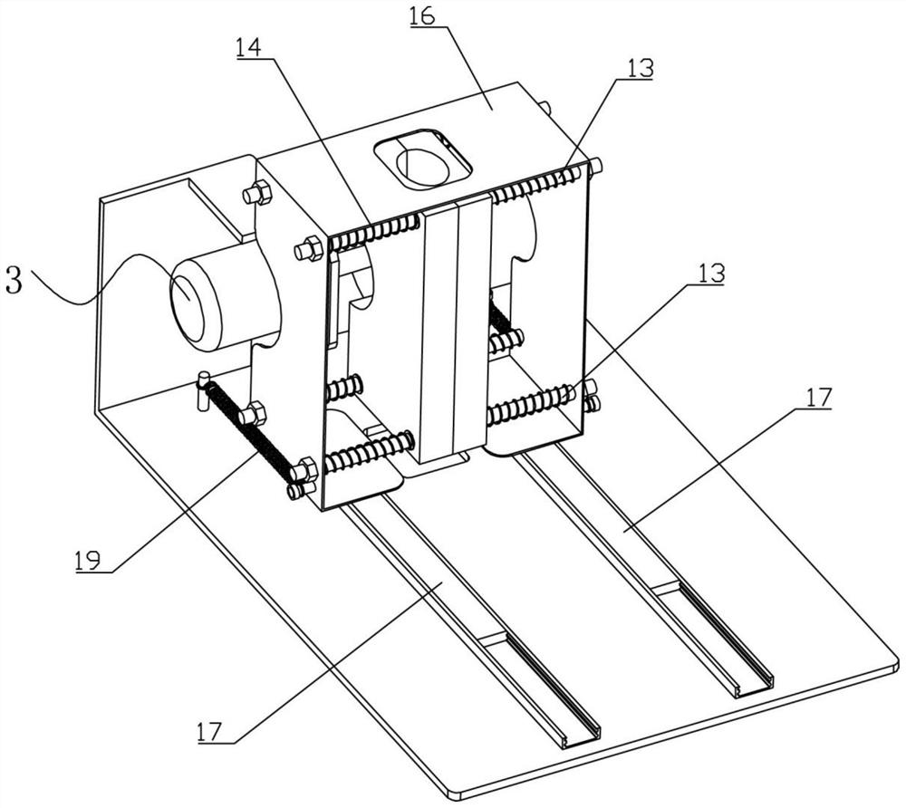 Loach and eel sectioning device