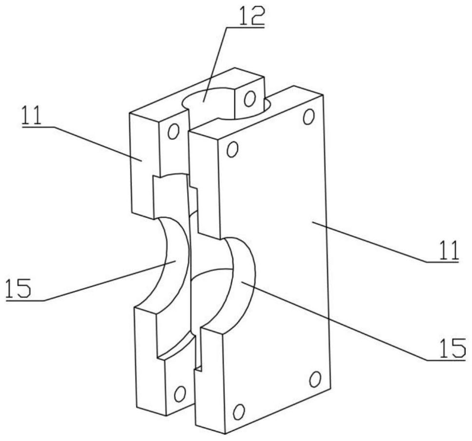 Loach and eel sectioning device