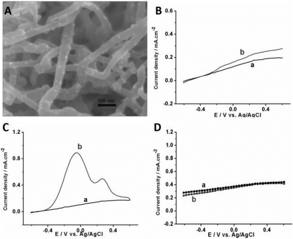 Glucoamylase and nanogold co-doped carbon nanomaterial hybrid anode-based starch biofuel cell