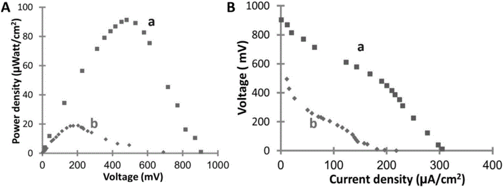 Glucoamylase and nanogold co-doped carbon nanomaterial hybrid anode-based starch biofuel cell