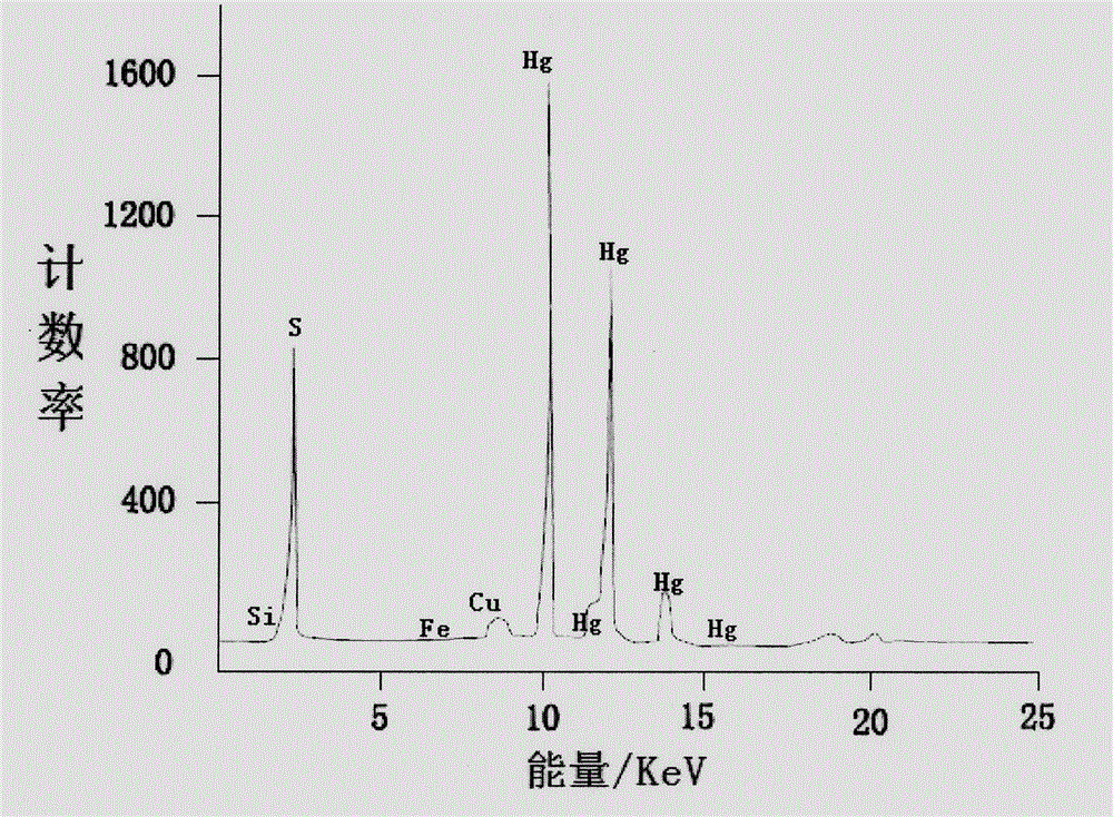 Analyzing and testing method for unearthed ancient lacquer film