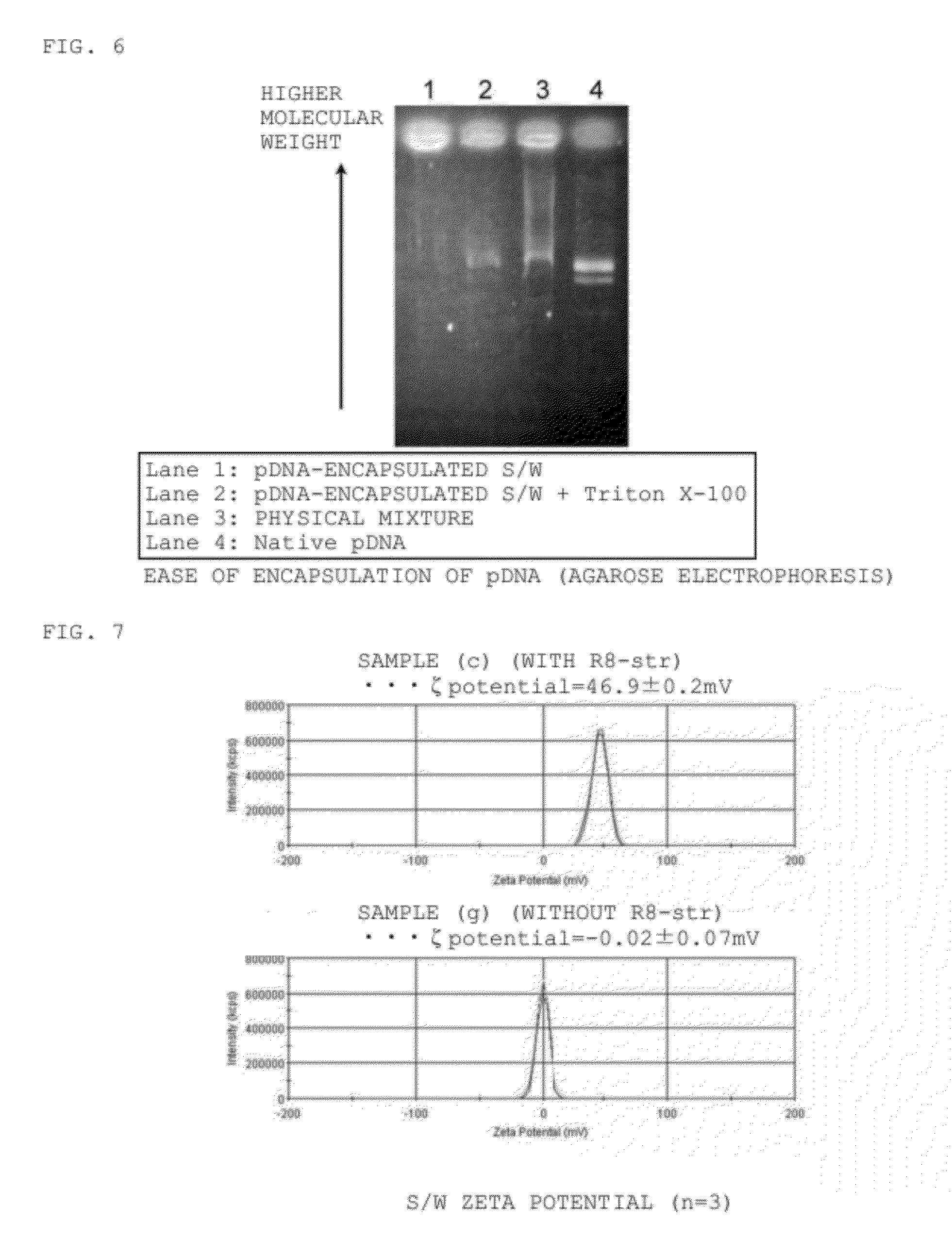 Water-soluble drug carrier and process for producing the same