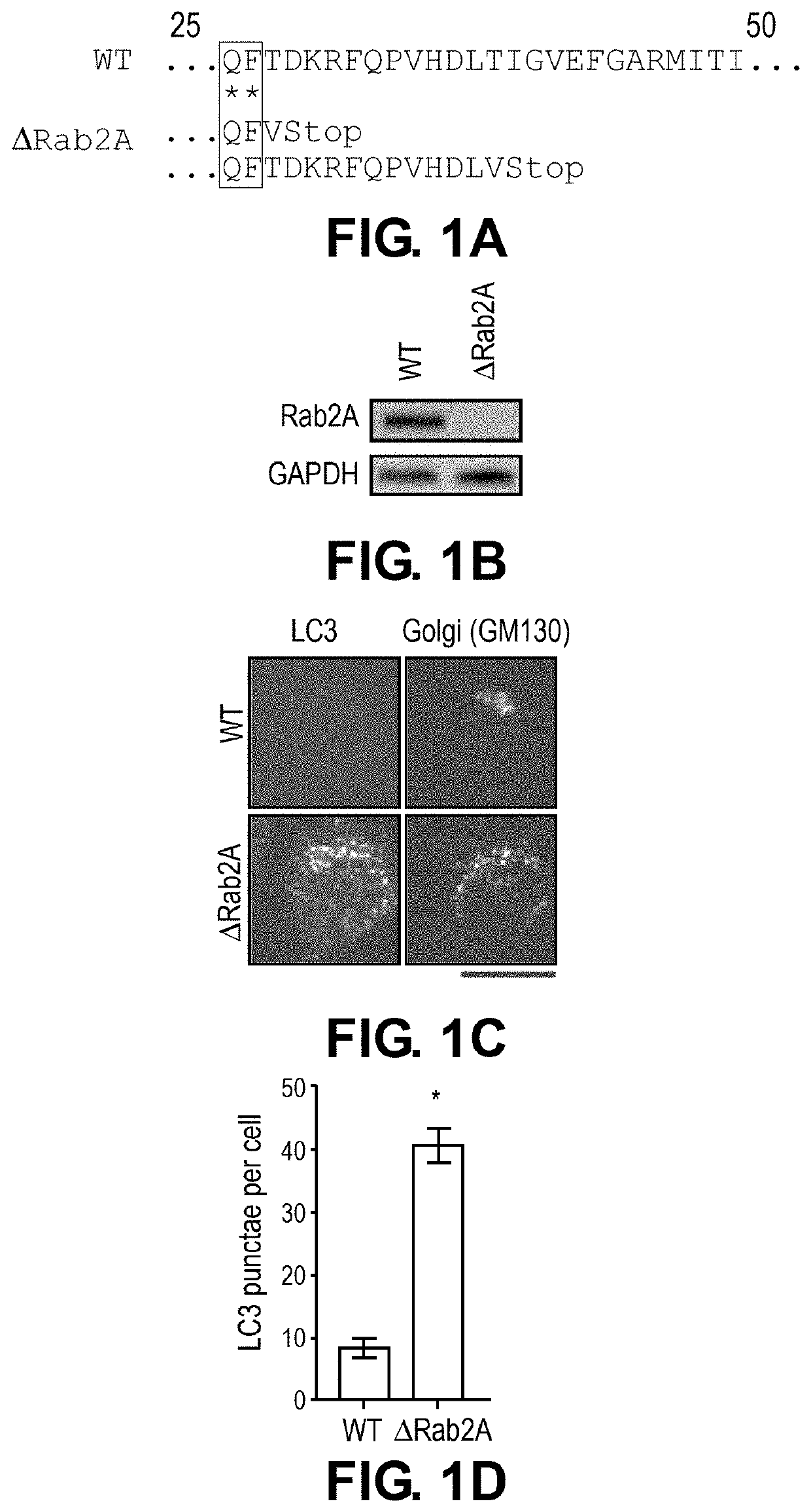 Methods and compositions for the treatment of Shiga Toxicosis