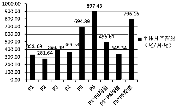 A kind of breeding method of high propagation type neo tilapia hybrid mating line