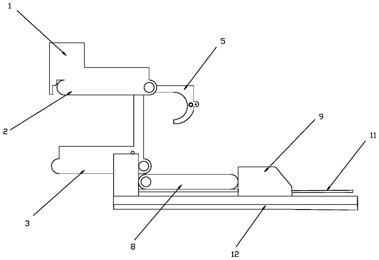 Fruit and vegetable sorting device