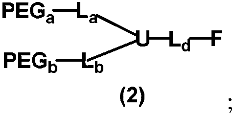 Preparation method of monofunctionalized nonlinear polyethylene glycol