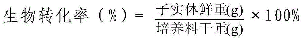 Method for cultivating auricularia polytricha through thorn scraps