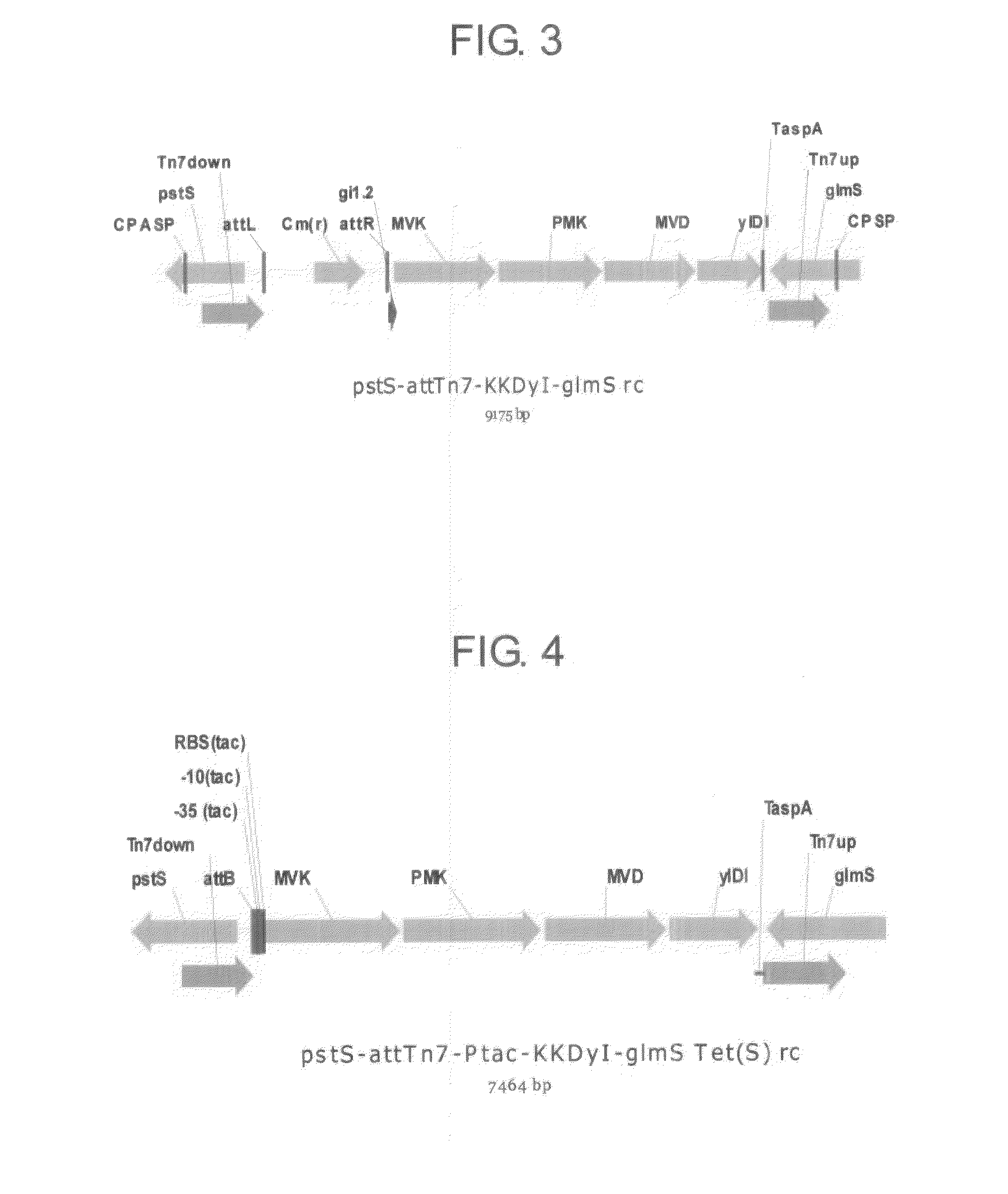 Isoprene synthase and gene encoding the same, and method for producing isoprene monomer