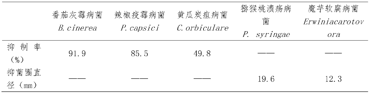 A kind of twig palm extract bactericide and preparation method thereof