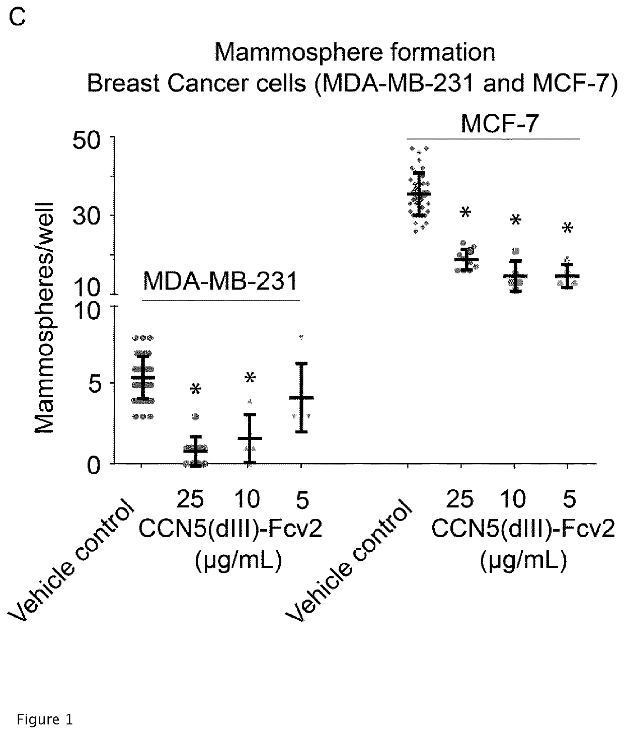 Recombinant ccn domain proteins and fusion proteins