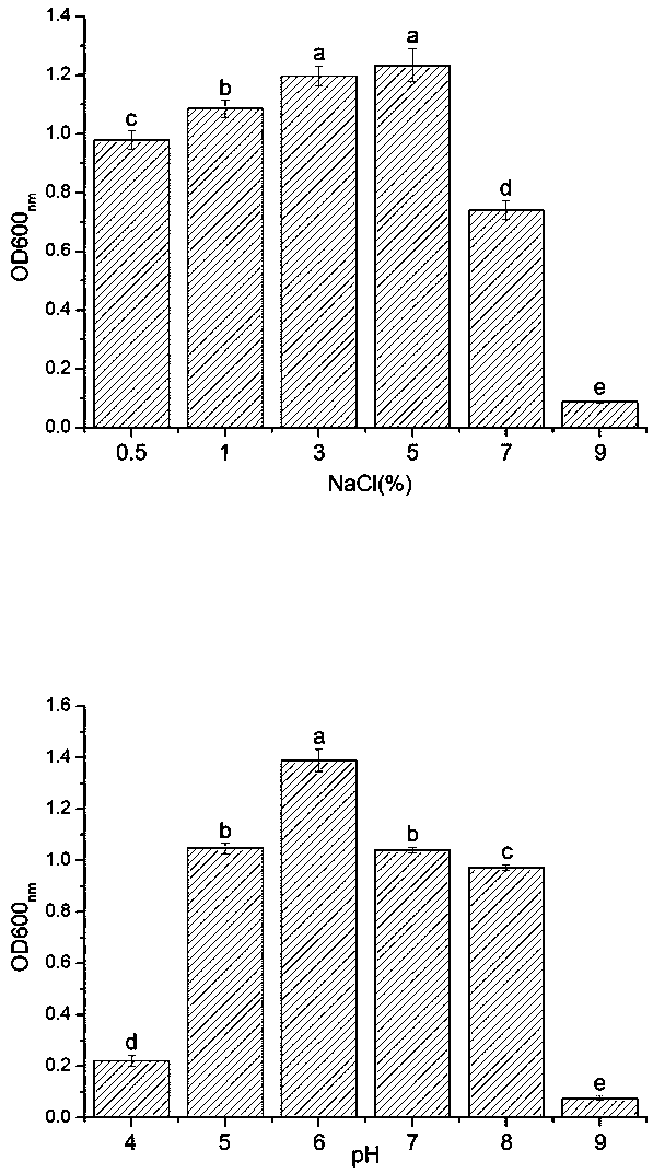 Preparation and application methods of salt-tolerant biological stimulin capable of improving germination of corn seeds