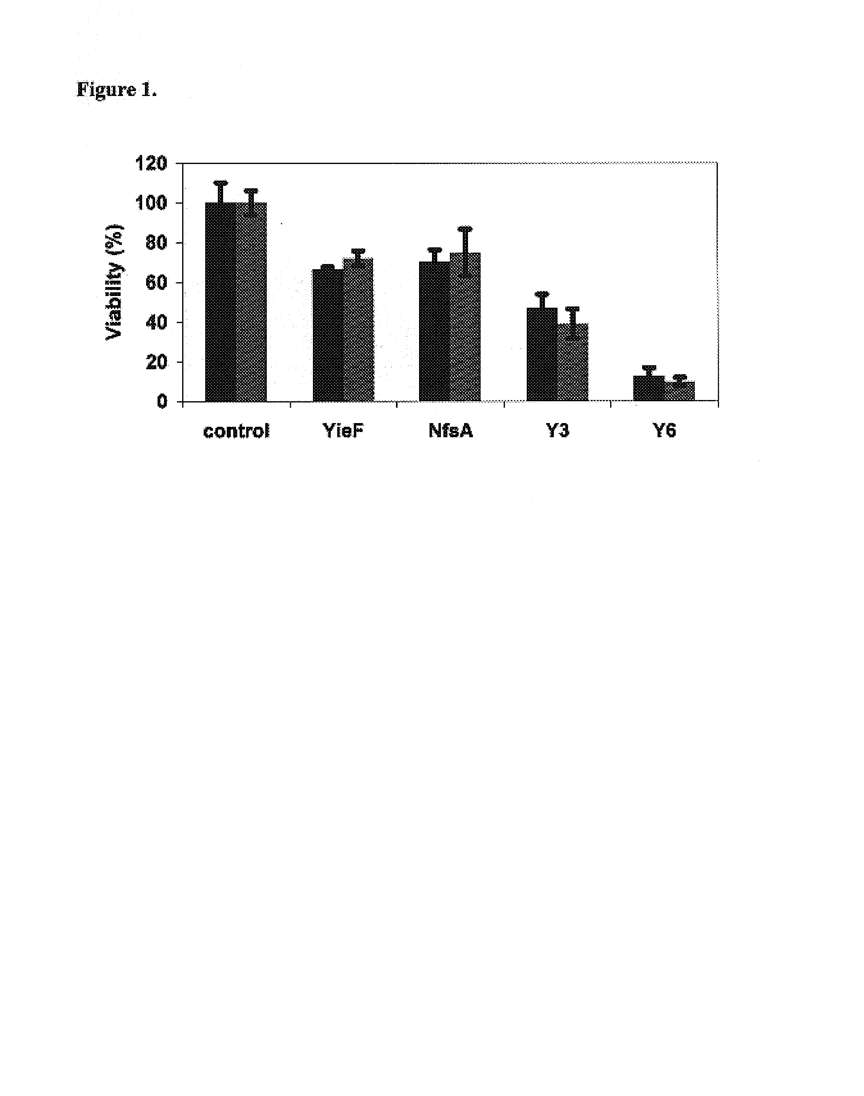 Nitroreductase enzymes