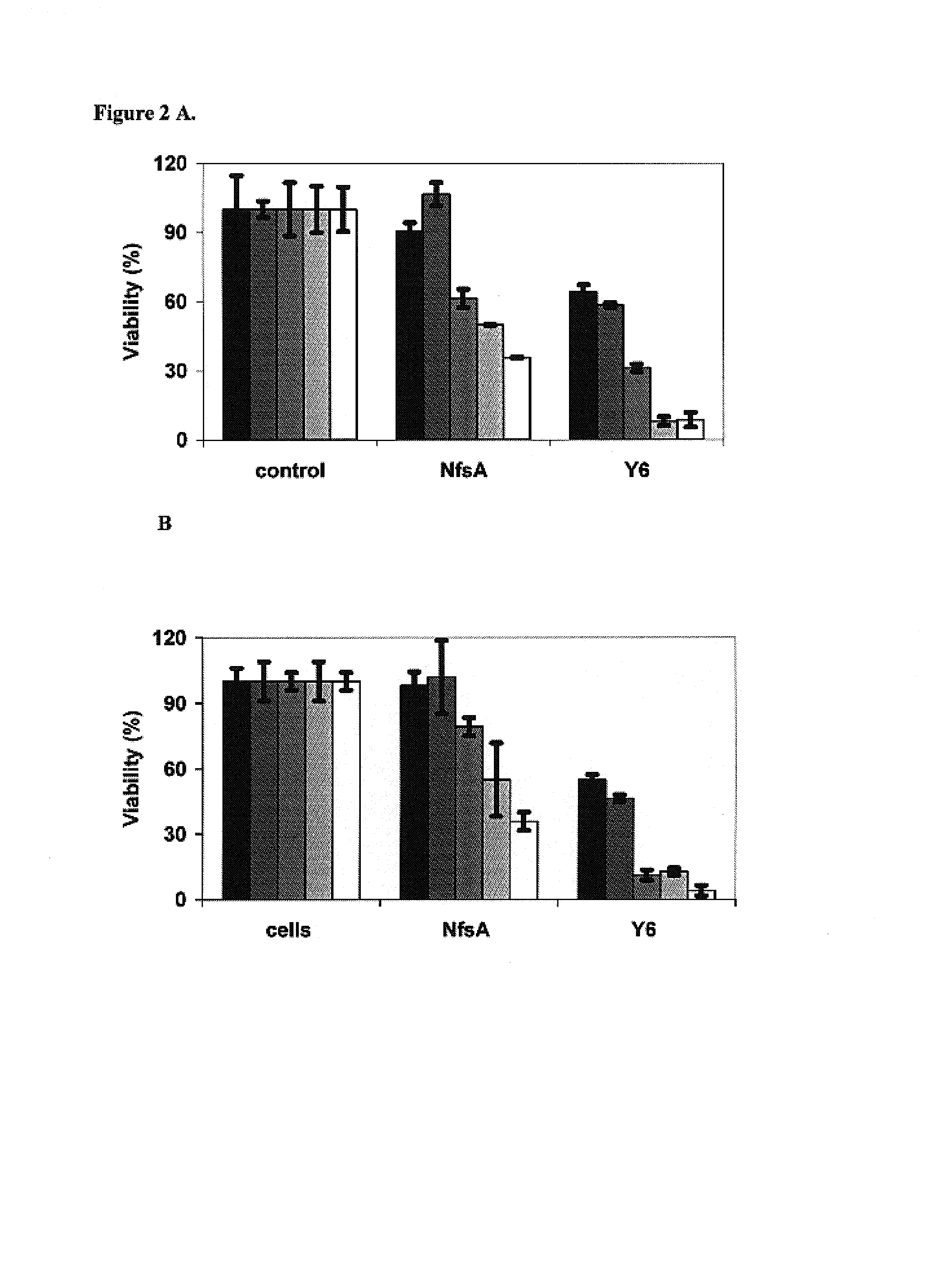 Nitroreductase enzymes