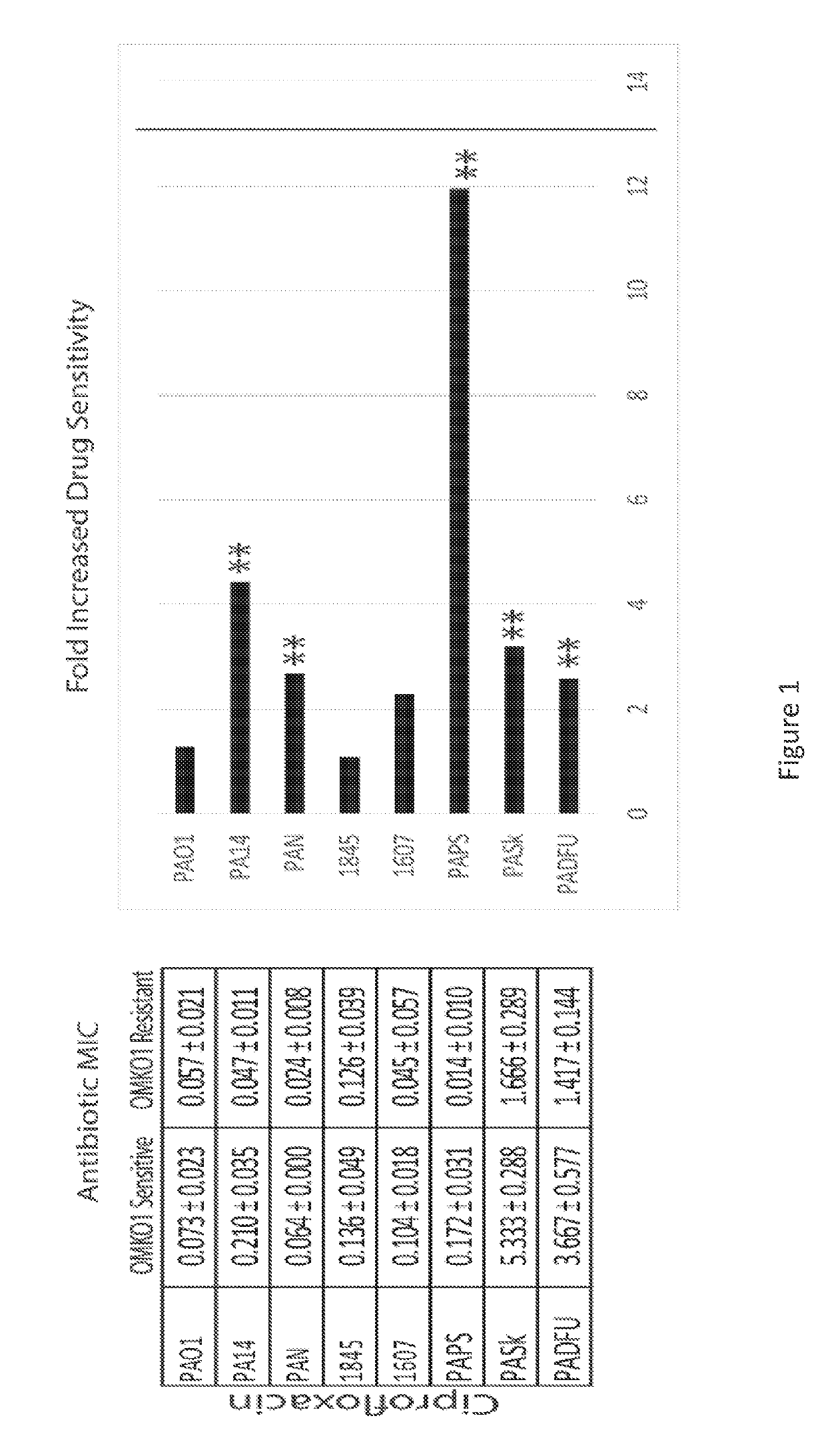 Bacteriophage compositions and uses thereof