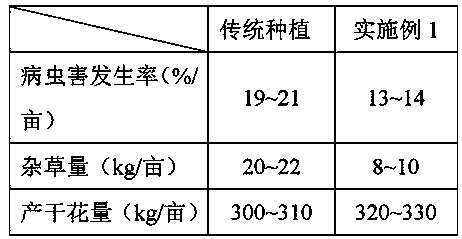 A kind of method improving the stability of the disease resistance of Lily japonicus