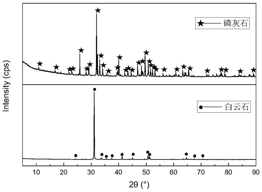 A kind of method that uses chelation inhibitor PBTCA to carry out phosphate rock flotation to remove magnesium