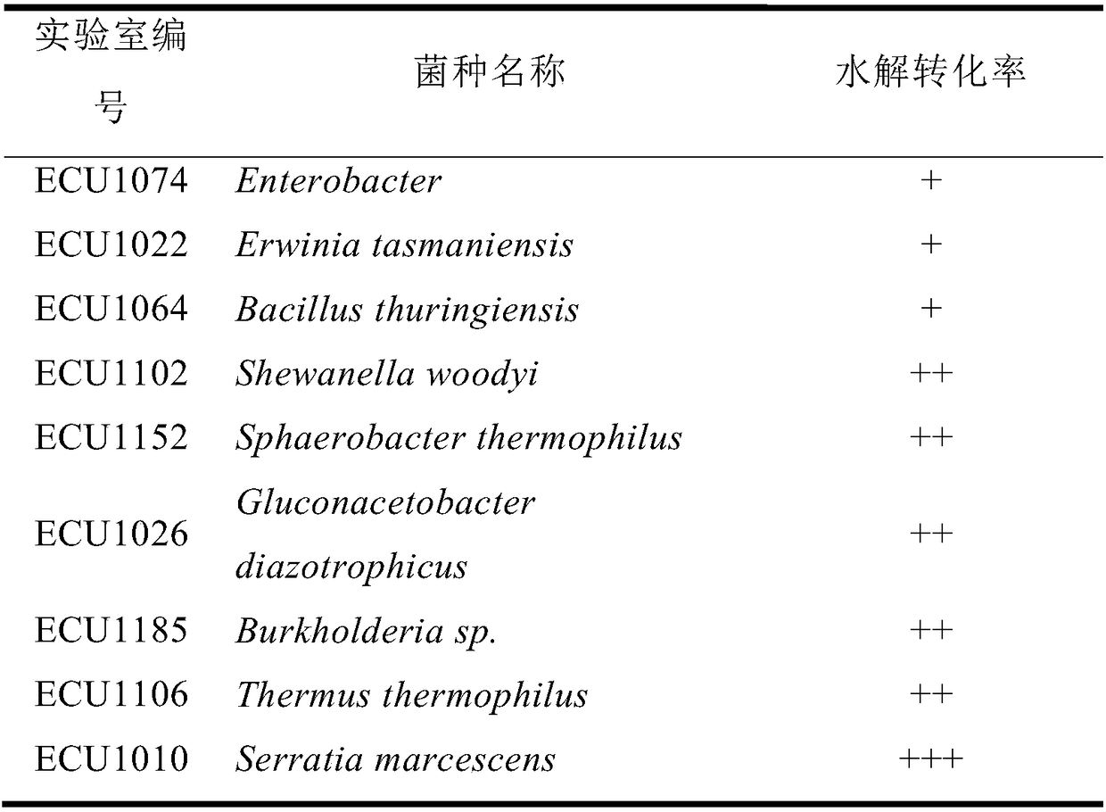 Carnosine hydrolase, gene, mutant and application thereof