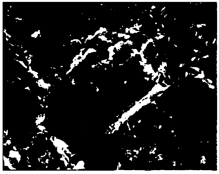 Prediction method of mechanical response characteristics of cemented filling body based on SEM image