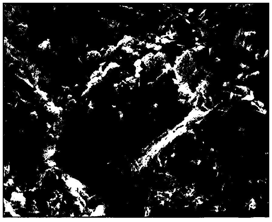 Prediction method of mechanical response characteristics of cemented filling body based on SEM image