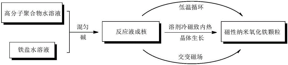 Preparation method of magnetic nano ferric oxide