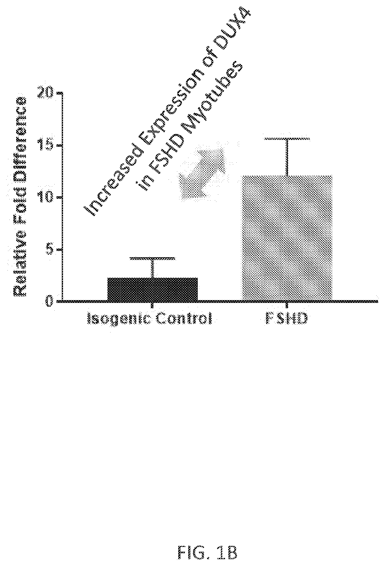 Use of p38 inhibitors to reduce expression of dux4