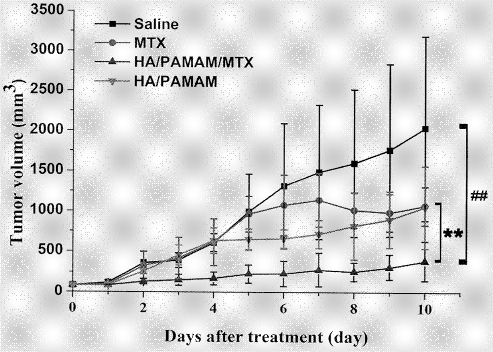 Multilevel targeted hyaluronic acid nanoparticle loaded with methotrexate and preparing method thereof