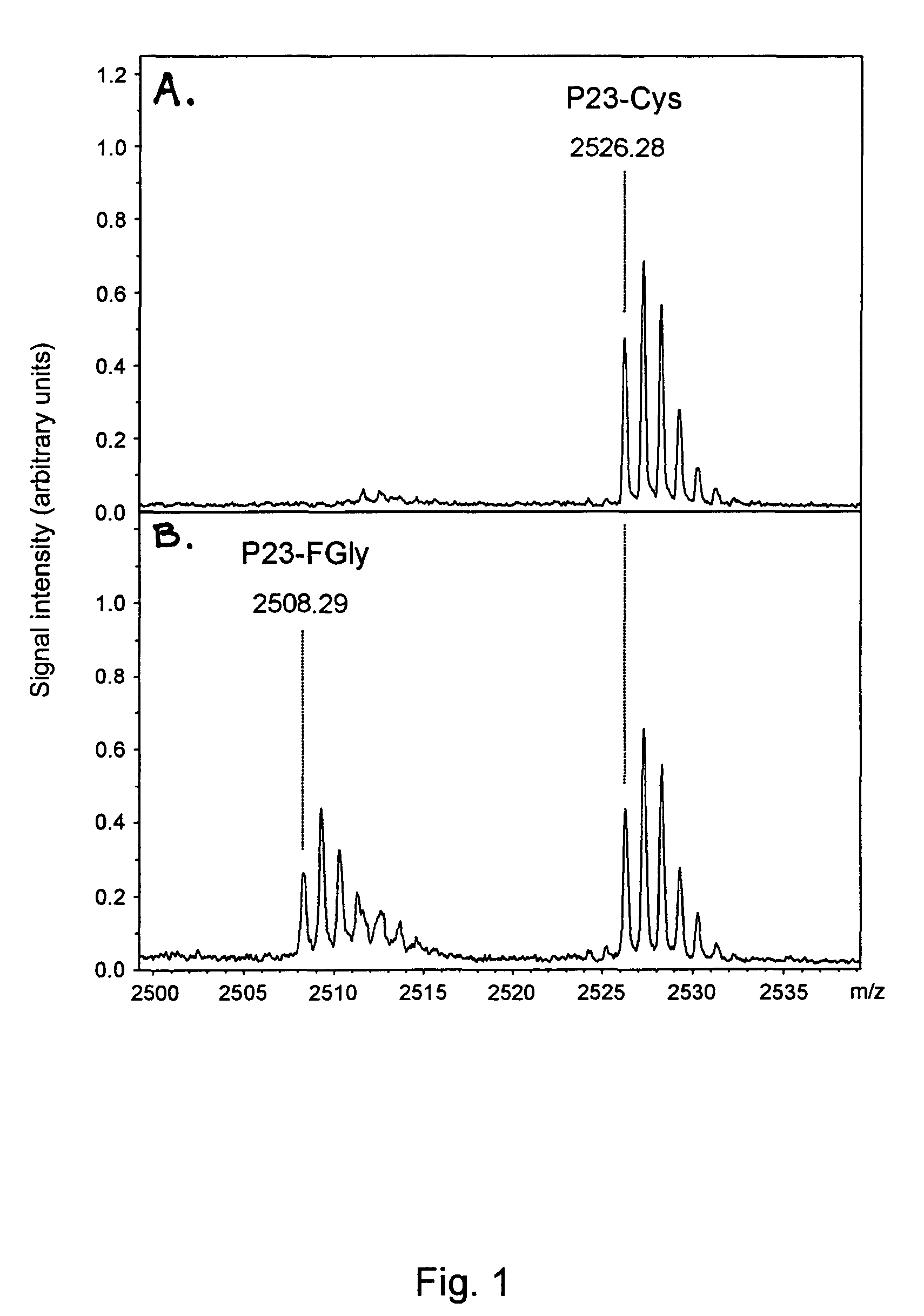 Cell that expresses a sulfatase and a formylglycine generating enzyme