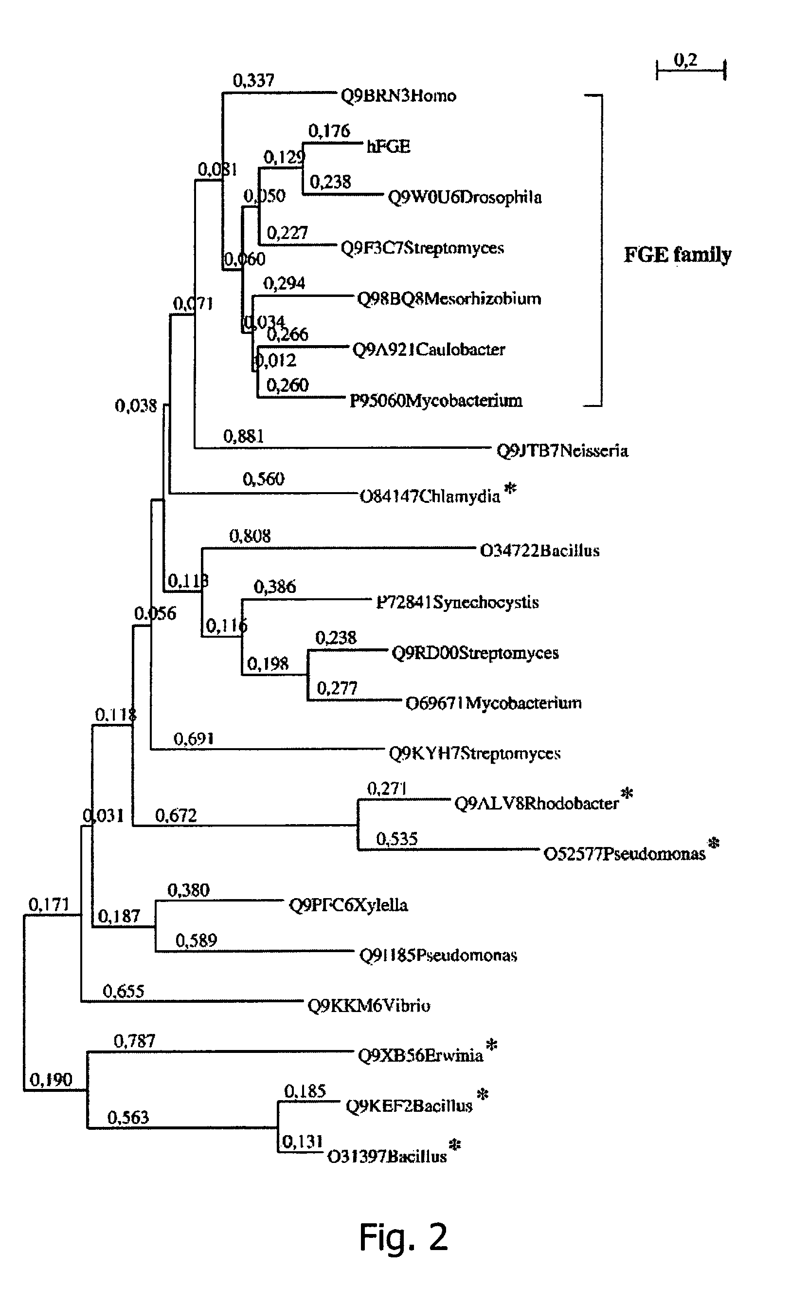 Cell that expresses a sulfatase and a formylglycine generating enzyme