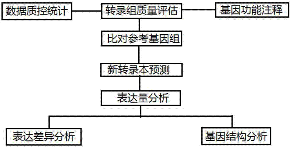 Cloud computing platform-based interactive analysis system and method for transcriptome project with reference genome