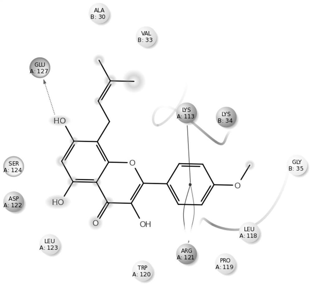 Human glucagon-like peptide-1 receptor activator and application thereof