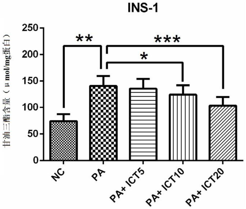 Human glucagon-like peptide-1 receptor activator and application thereof