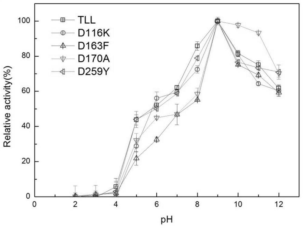 A lipase mutant with improved catalytic activity and its application