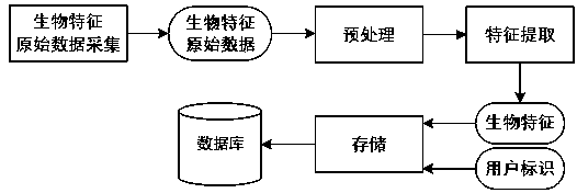 Cloud attendance method based on human body biological characteristics