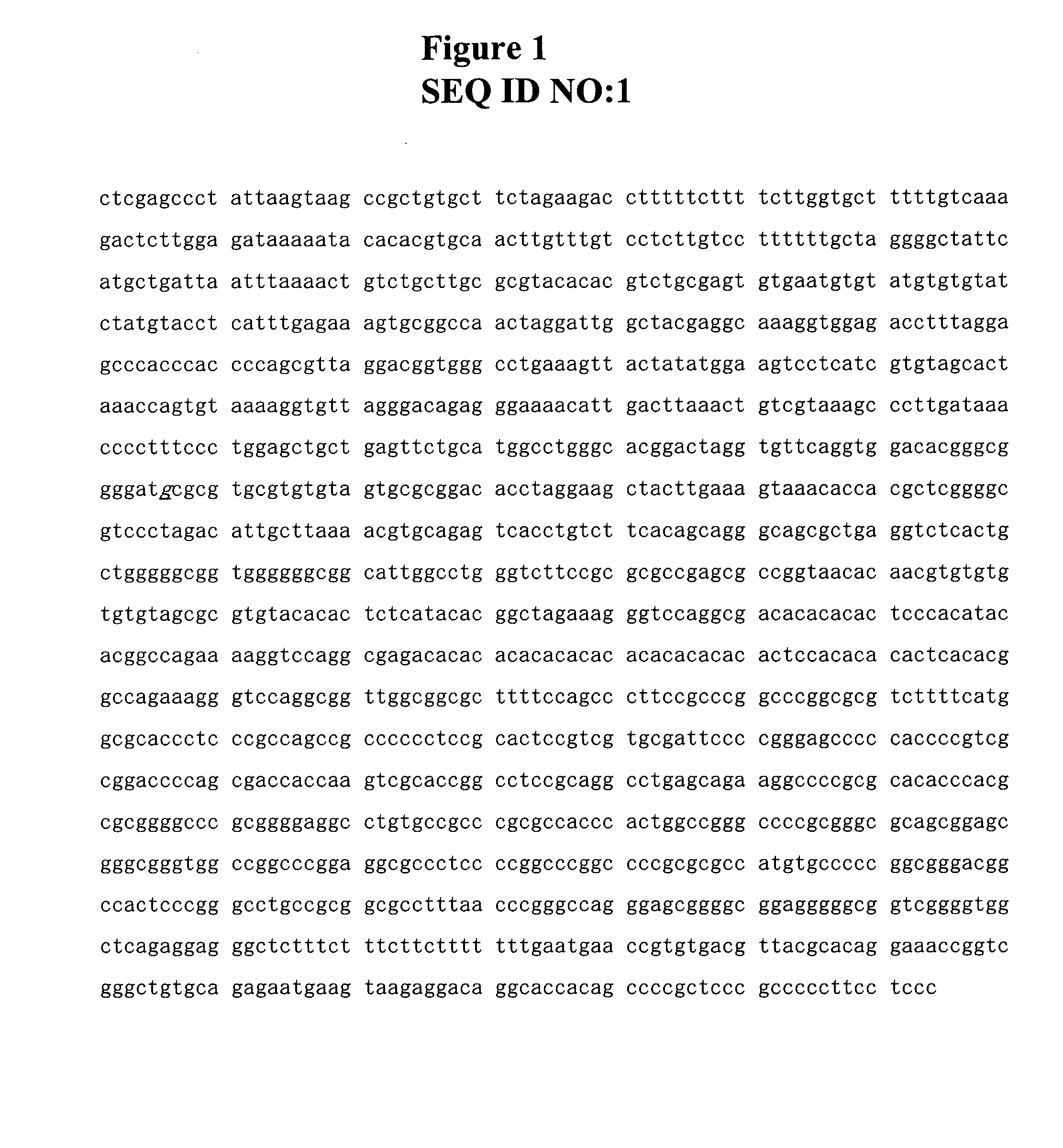 Methods and Compositions for the Inhibition of Gene Expression