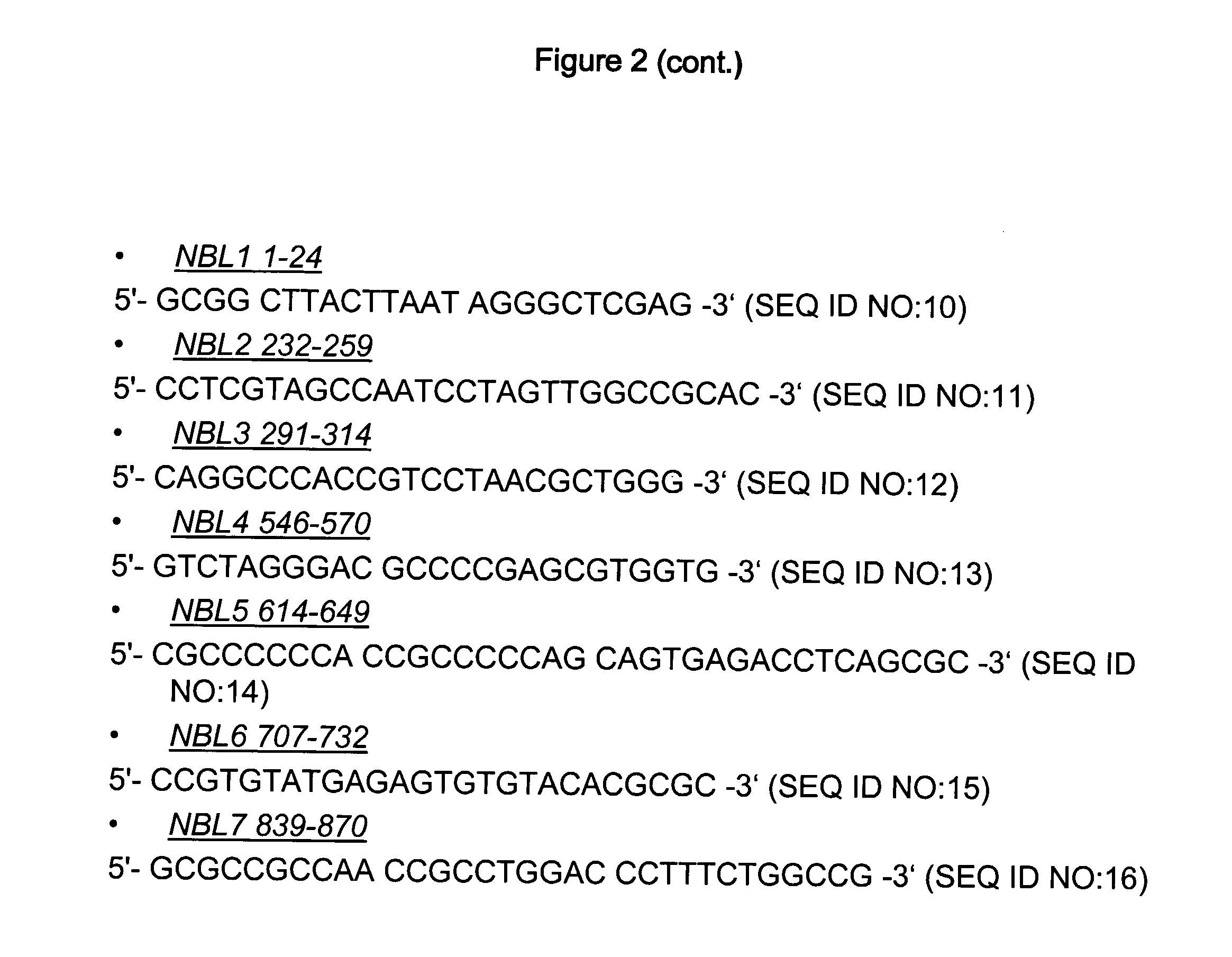 Methods and Compositions for the Inhibition of Gene Expression