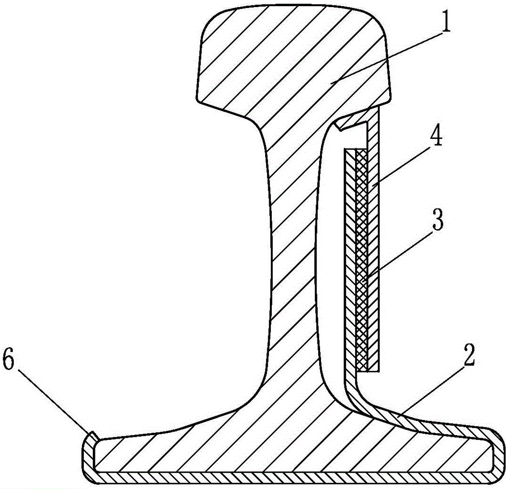 Shear type track vibration and noise reduction device