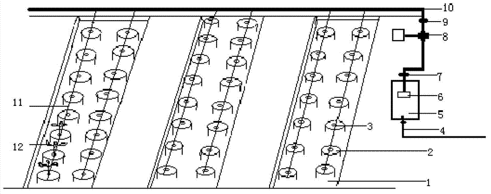 Bag culture system for large-scale production of solanaceous vegetables