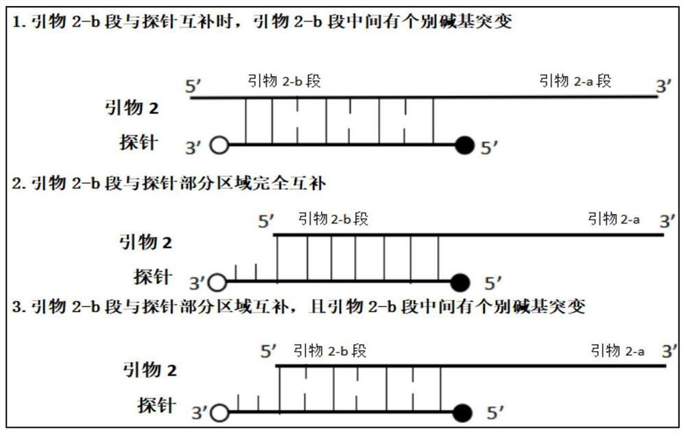 Method for simultaneously detecting multiple diarrhea viruses by utilizing melting curve