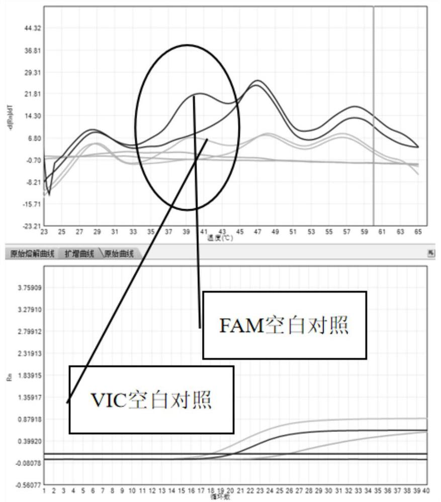 Method for simultaneously detecting multiple diarrhea viruses by utilizing melting curve