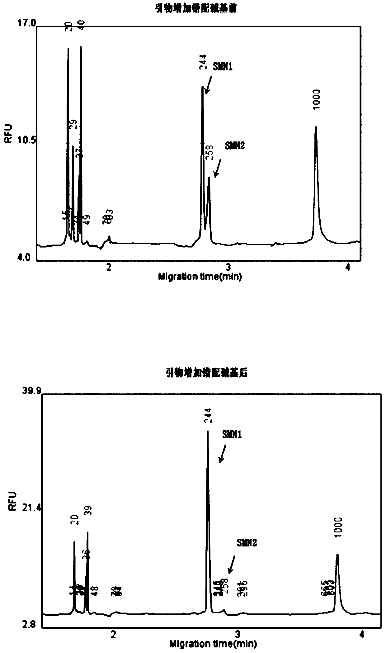 Primer group and kit for single-tube detection of human spinal muscular atrophy