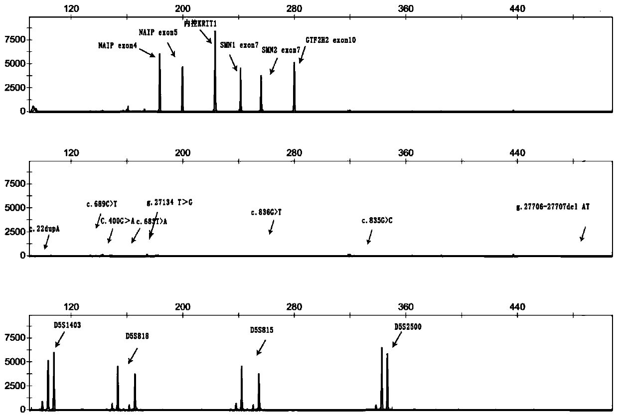 Primer group and kit for single-tube detection of human spinal muscular atrophy