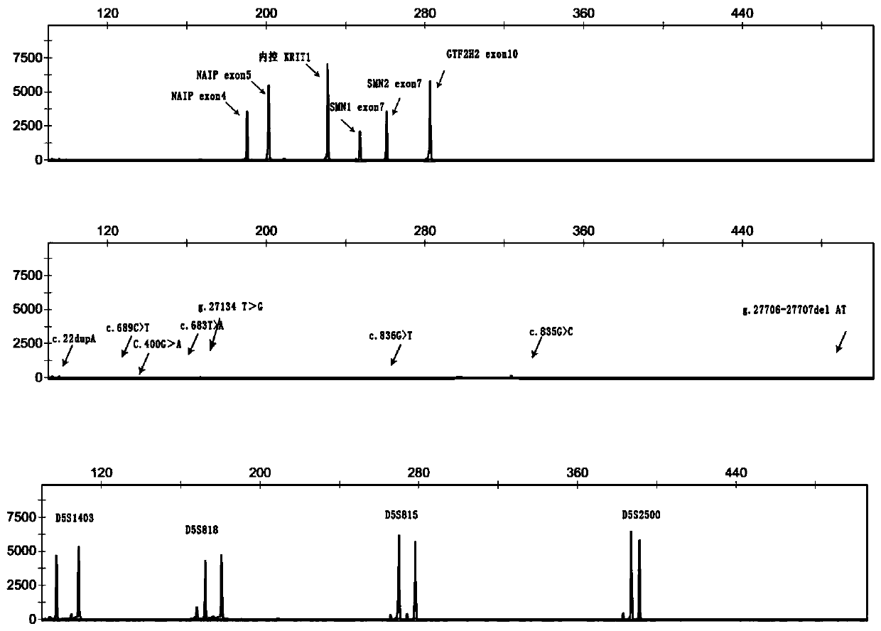 Primer group and kit for single-tube detection of human spinal muscular atrophy