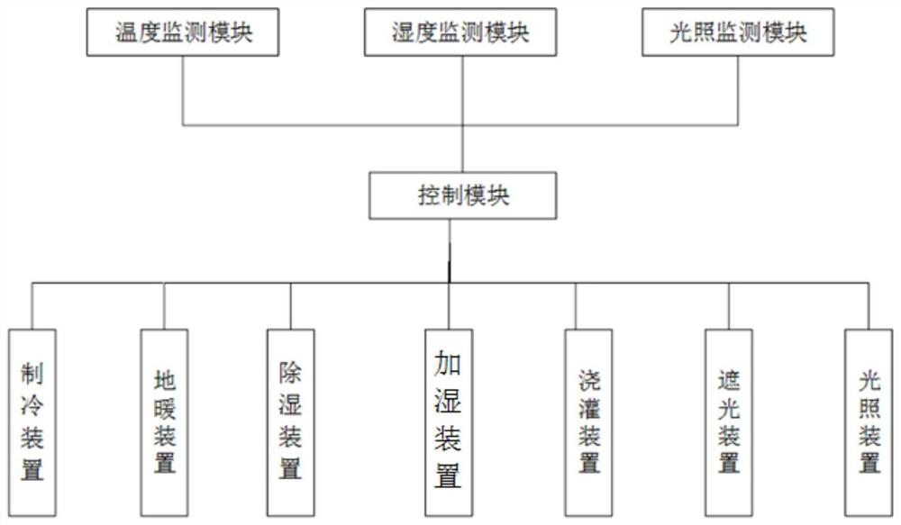 A system and its application method for increasing the transplanting emergence of test-tube seedlings of grapes