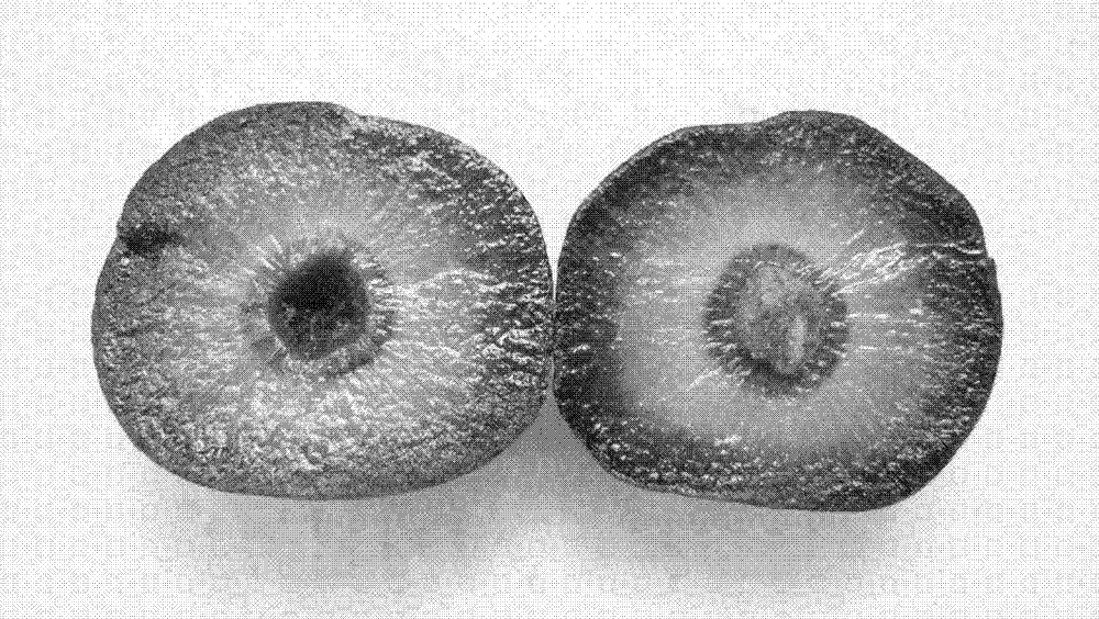 Method for reducing flavor loss of plum fruits in refrigeration