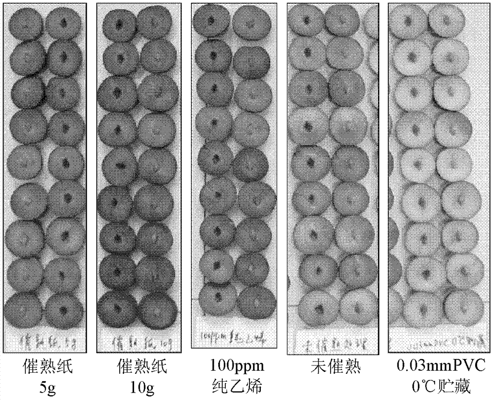 Method for reducing flavor loss of plum fruits in refrigeration