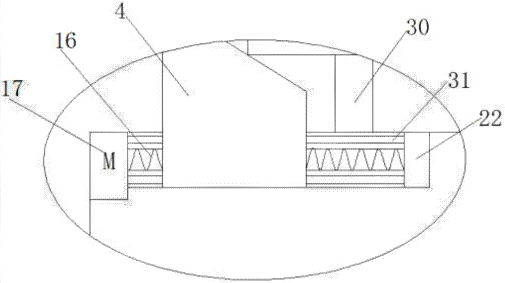 Novel lifting conveying device for barley rice processing