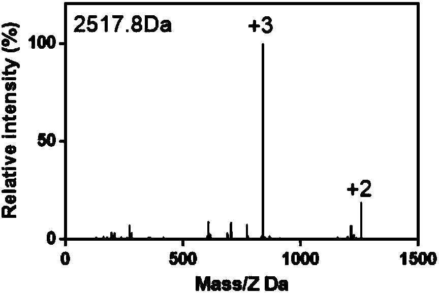 Whole process targeting polypeptide and application in constructing tumor targeted diagnosis delivery system