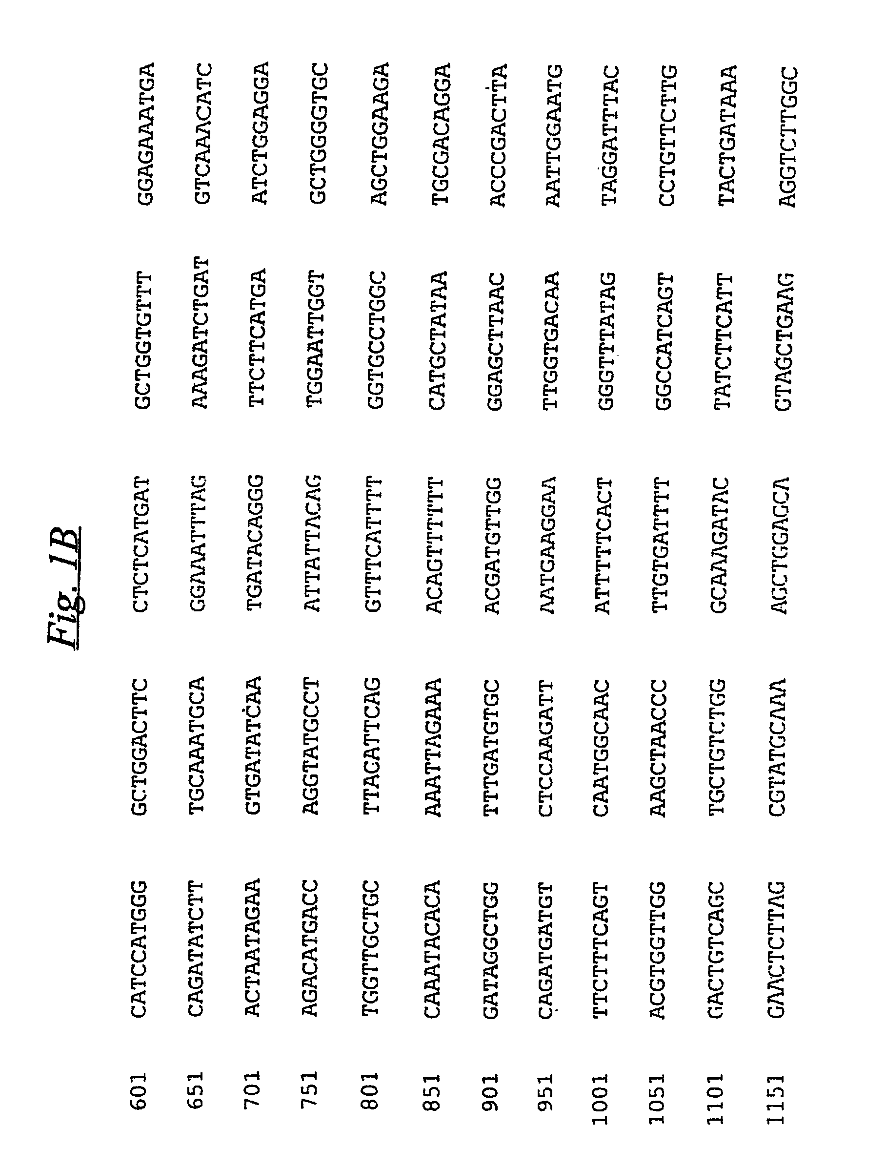 Methods and reagents for preparing and using immunological agents specific for P-glycoprotein