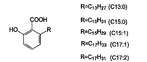 Industrialization production technology for extracting ginkgolic acid from Ginkgo testa